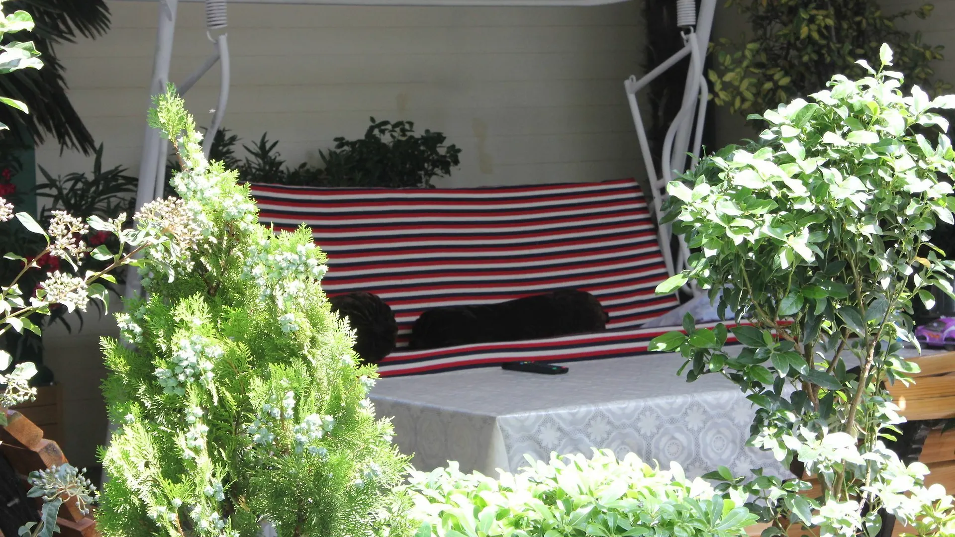 Vedzisi Garden Hotel Tbilisi